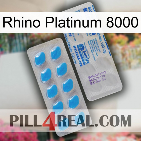 Rhino Platinum 8000 new15.jpg